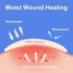 15 Packs Hydrocolloid Bandages Waterproof 4x4 Inches