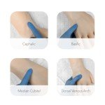 Anatomy IV and Venipuncture Training Kit - Light
