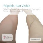 Anatomy IV and Venipuncture Training Kit - Light