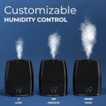 Cool Mist Humidifier 6L for Large Rooms