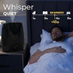 Cool Mist Humidifier 6L for Large Rooms