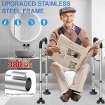 Stainless Steel Toilet Safety Rail with Handles