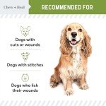 Aloe Pet Liquid Bandage Spray for Dogs - 4 oz