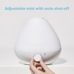 Frida Baby 3-in-1 Cool Mist Humidifier & Diffuser