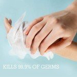 Antibacterial Hand Sanitizer Wipes, 50 Count