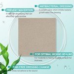 10 Pack Silver Antibacterial Alginate Wound Dressings