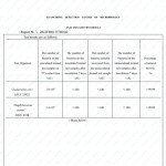 10 Pack Silver Antibacterial Alginate Wound Dressings