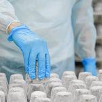 Blue Vinyl Exam Gloves, Large, Box of 100