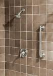 Moen 36-Inch Stainless Steel Bathroom Grab Bar