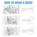 100 Pack Disposable 3-Ply Earloop Face Masks
