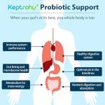 Keptrohy 300 Billion CFU Probiotics, 60 Capsules