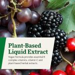 Floradix Yeast-Free Iron with Herbs, 8.5 oz