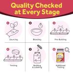 Gentle Iron Supplement with Vitamins, 60 Vegan Caps