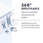 Prevail Per-Fit Men's Disposable Protective Underwear