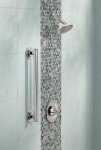 Moen 12-Inch Stainless Steel Bathroom Grab Bar