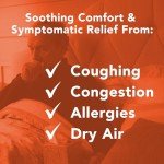 Vicks Warm Mist Humidifier for Soothing Relief