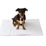 Medline - MDTR1227073AZ Softnit 300 Washable Underpads, Pack of 4 Large Bed Pads, 34" x 36", For use as incontinence bed pads, reusable pet pads, great for dogs, cats, and bunny