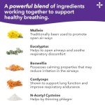 Lung Capaci-T - Respiratory Support Supplement - 90 Capsules