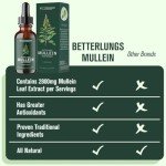 Mullein Leaf Extract Tincture for Healthy Breathing