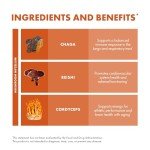 Host Defense Breathe Capsules - Immune & Lung Support