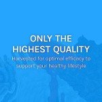 Host Defense Breathe Capsules - Immune & Lung Support