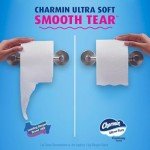 Charmin Ultra Soft Family Mega Roll Toilet Paper
