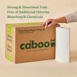 Caboo Eco-Friendly 2-Ply Paper Towels, 8 Rolls