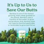 Caboo Eco-Friendly 2-Ply Paper Towels, 8 Rolls