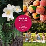 PINALEN Max All-Purpose Floral Cleaning Solution