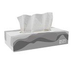 Pacific Blue 2-Ply Facial Tissue Flat Box, 100 Sheets