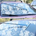 Mitclear 57" Window Cleaner Kit with Squeegee