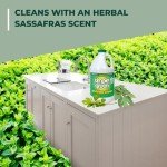 Simple Green All-Purpose Cleaner Concentrate, 64 oz