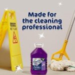 Fabuloso Lavender All-Purpose Cleaner & Degreaser, 1 Gallon