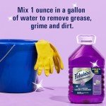 Fabuloso Lavender All-Purpose Cleaner & Degreaser, 1 Gallon