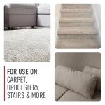 Hoover 64 oz. Pet Carpet Cleaner Solution - Tropical Breeze