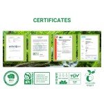 OrangeBio 3 Gallon Biodegradable Trash Bags - 100 Pack