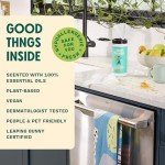 Aunt Fannie's Eucalyptus Cleaning Vinegar Wipes – 35 Count