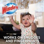 Windex Ammonia-Free Glass Cleaning Wipes, 38 Count