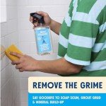 Aunt Fannie's All-Purpose Bathroom Vinegar Cleaner