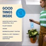 Aunt Fannie's All-Purpose Bathroom Vinegar Cleaner