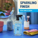 Aunt Fannie's All-Purpose Bathroom Vinegar Cleaner