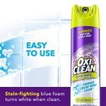 OxiClean Foam-Tastic Fresh Scent Bathroom Cleaner Duo