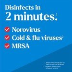 CloroxPro EcoClean Disinfectant Spray, 32 oz