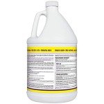 Simple Green Clean Finish Disinfectant, 1 Gallon