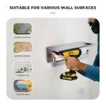 Brushed Nickel Double Toilet Paper Holder with Shelf