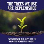 Sparkle Pick-A-Size Paper Towels, 6 Double Rolls