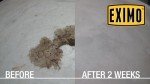 Waterless Concrete Cleaner for Driveways and Garages