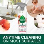 Seventh Generation All Purpose Cleaner - Fresh Meadow