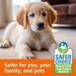 Oxy Carpet Cleaner with Fresh Scent, 64 oz