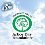 OxiClean 64 oz. Carpet Cleaner for Large Areas